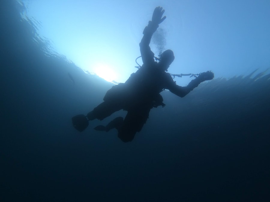 dive, drake passage