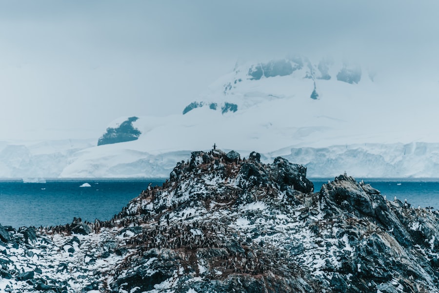 drake passage