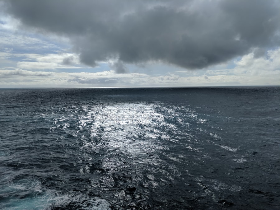 drake passage crossing