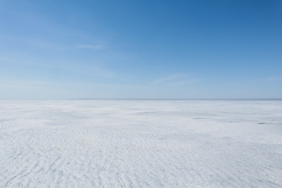 bering sea