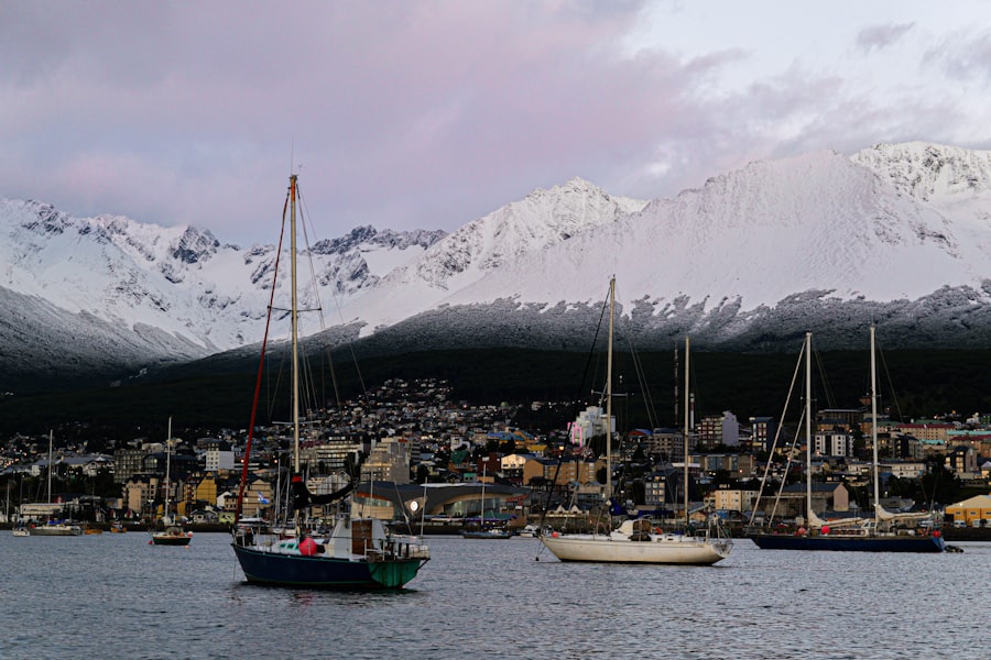 beagle channel