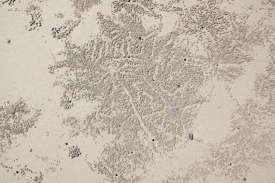 drake passage map