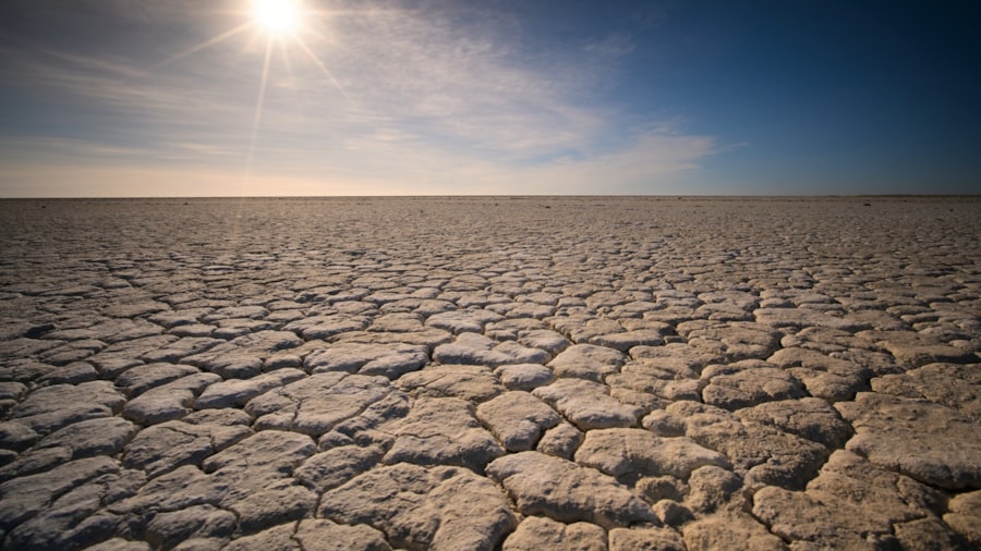 climate adaptation strategies NYC