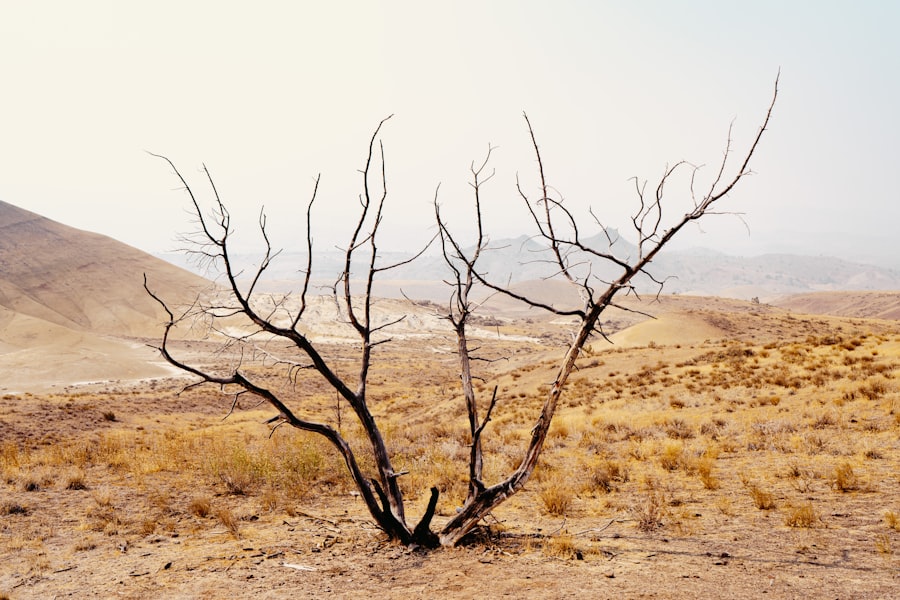 climate change vulnerability