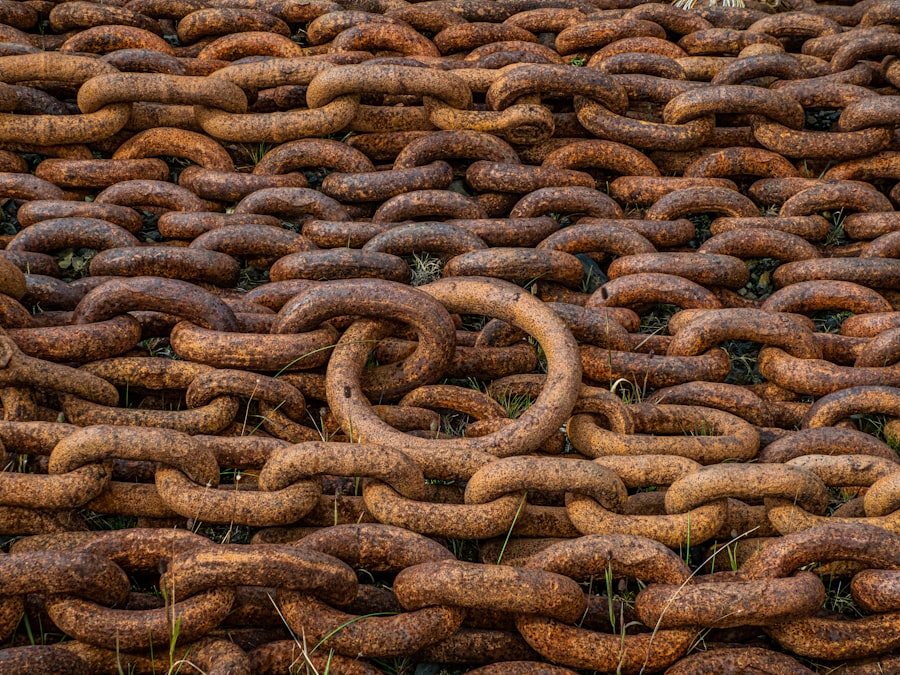 Supply Chain Resilience