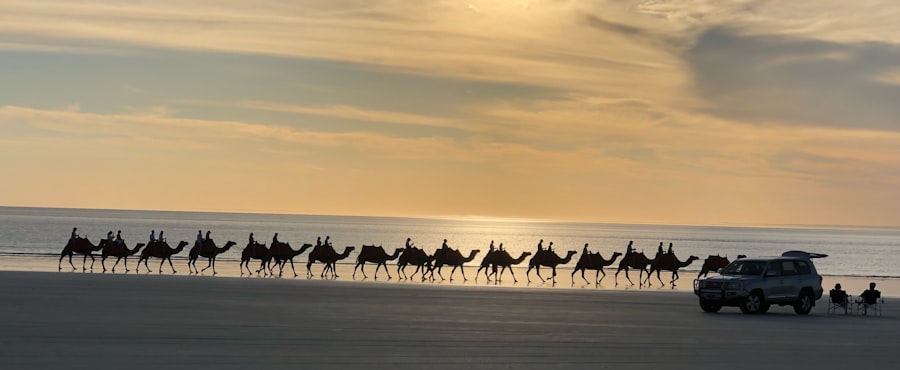 Polar Silk Road