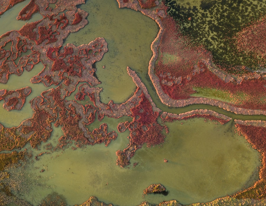 Strategic Waterways