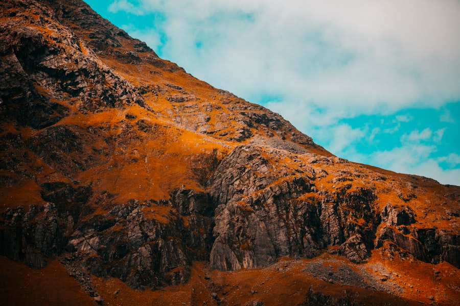 terrain