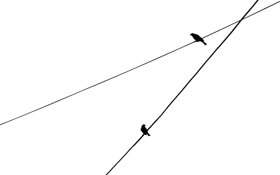 supply line