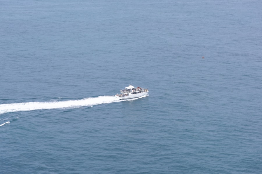 brown water navy strategy