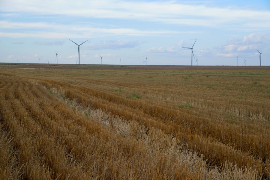 great plains