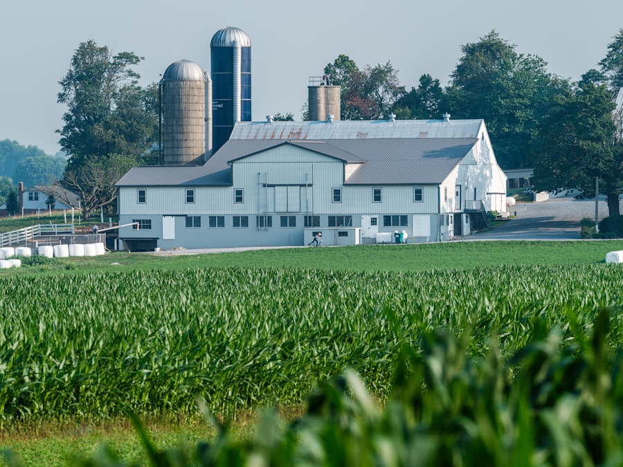 government farm consolidation