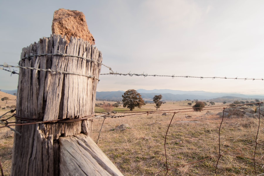 reverse rural decline