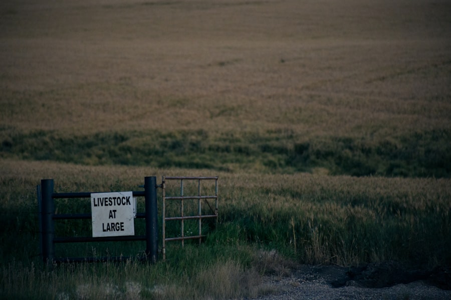 land use conflicts