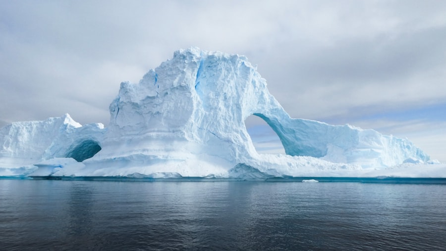 antarctica