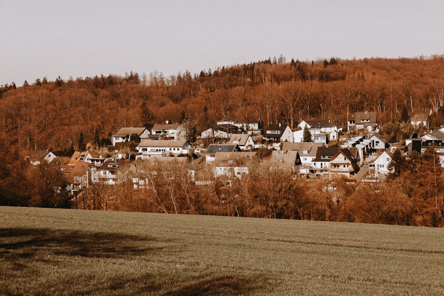 rural depopulation