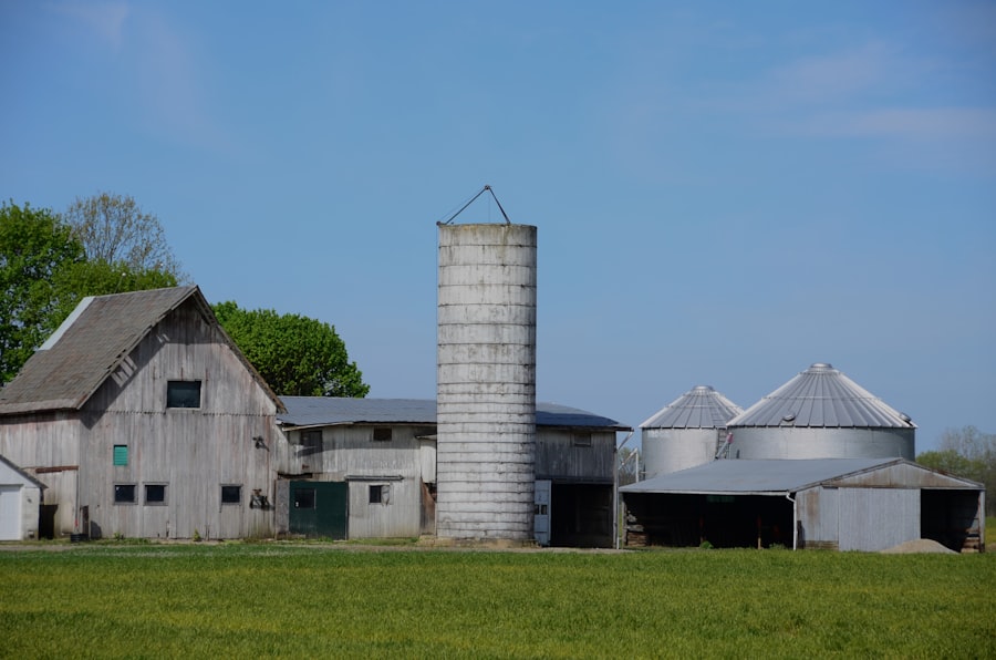 farm consolidation