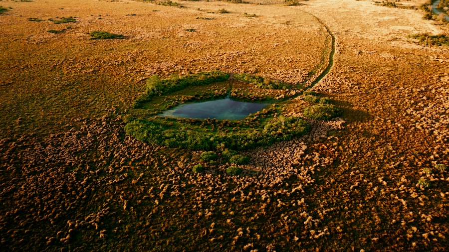 ogallala aquifer depletion