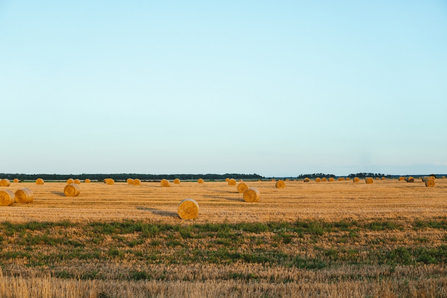 great plains agriculture