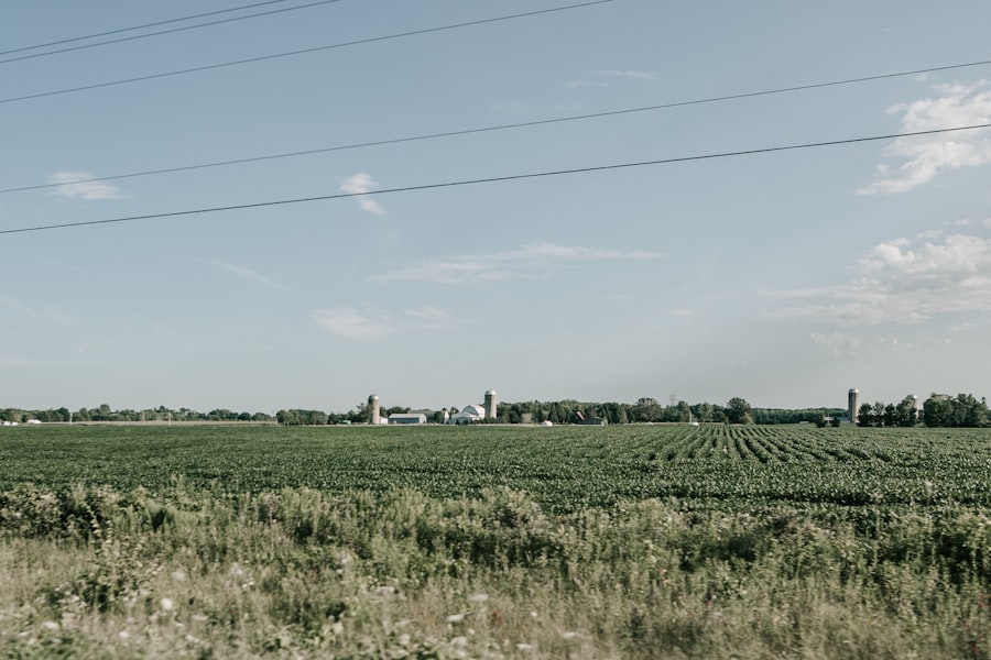 Kansas population