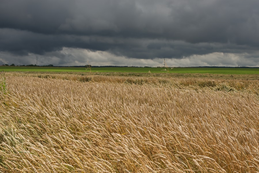 climate change impact farming