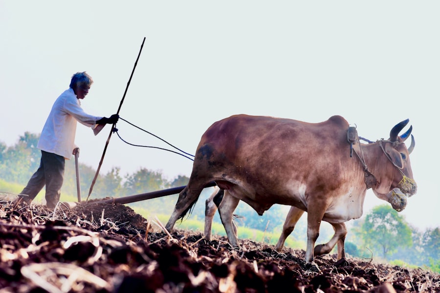 farming challenges