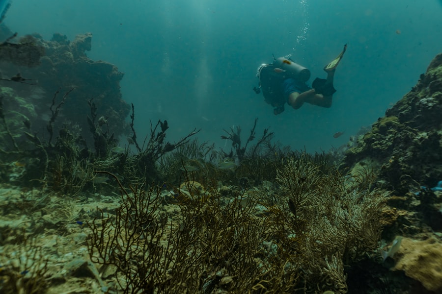 Bikini Atoll underwater documentary