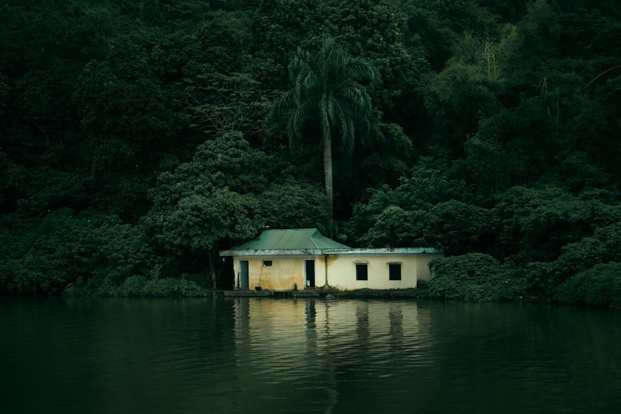 forbidden paradise documentary