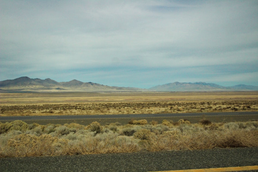 unlivable parts of nevada