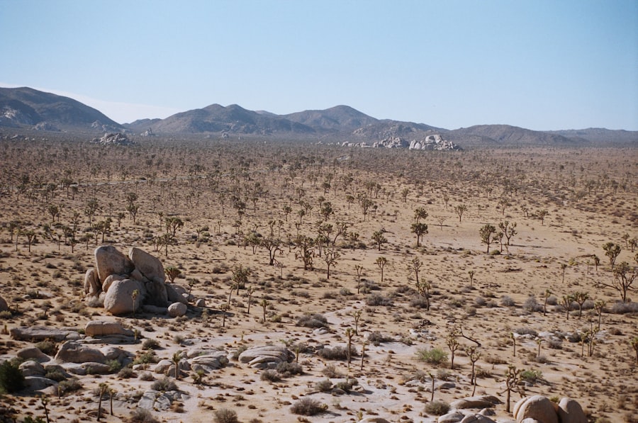 Las Vegas water scarcity