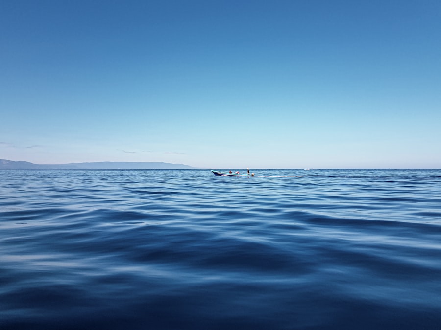 sharks, drake passage