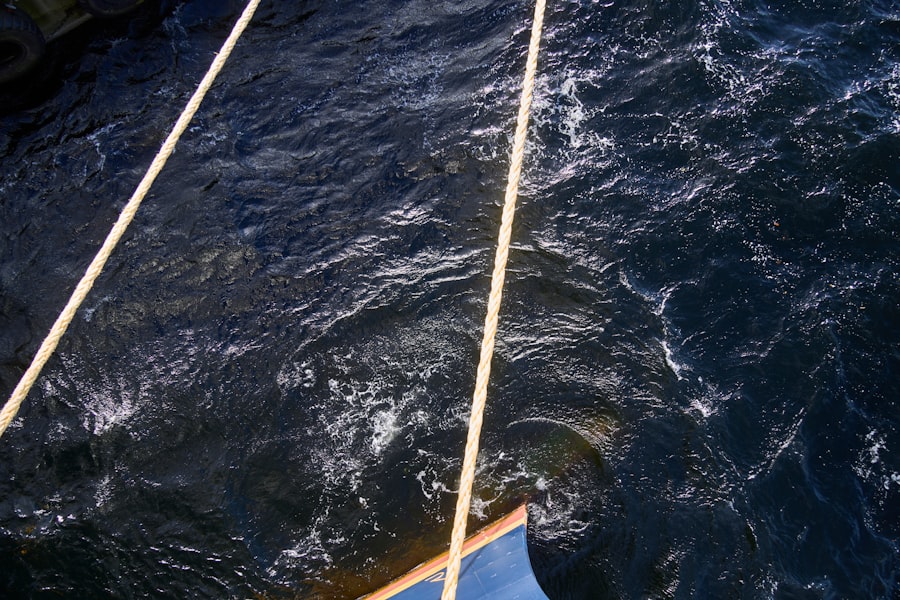 rowing across drake passage