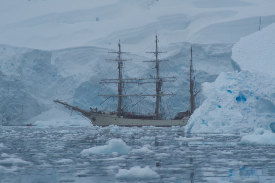 drake passage survival rate