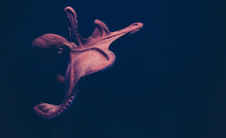 sea monster