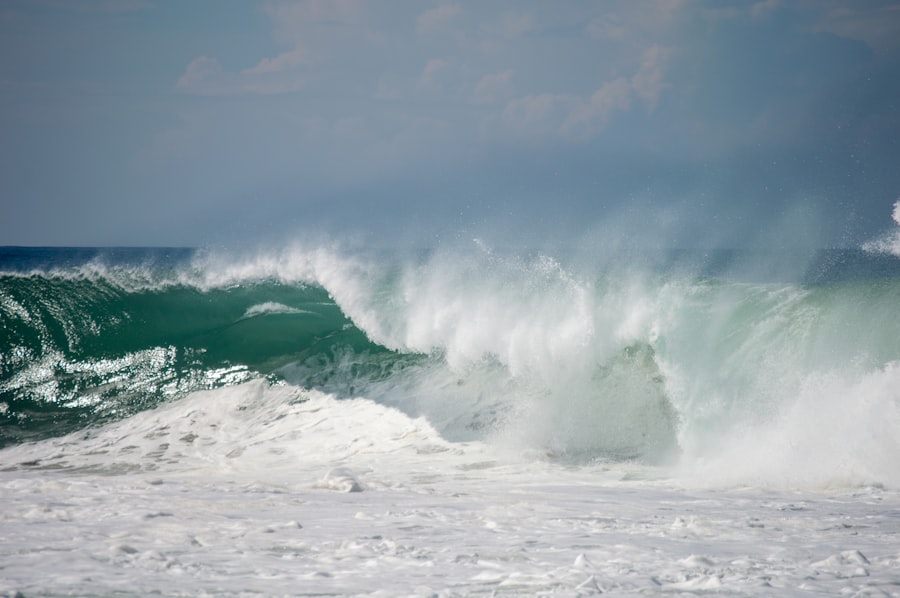 wave height forecast