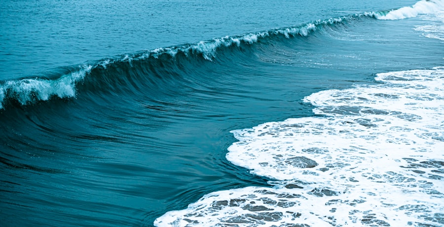 wave height forecast