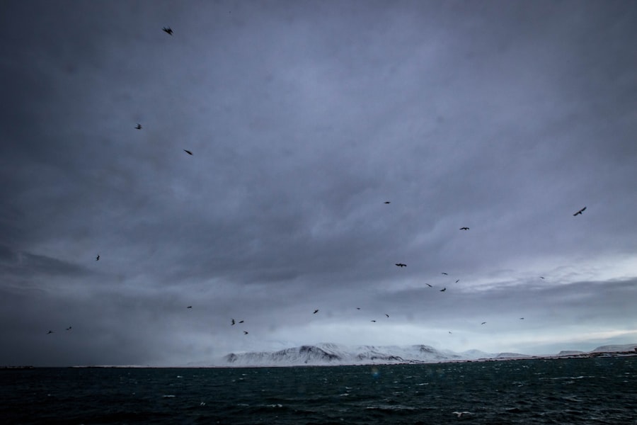 drake passage compilation