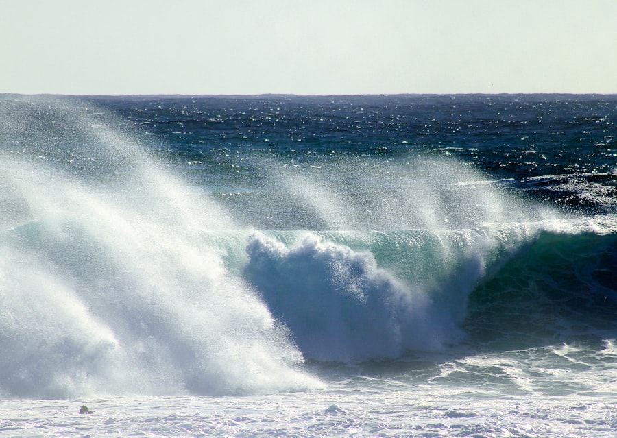 wave forecast