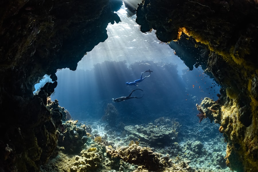 ocean floor