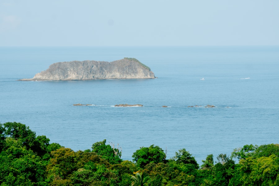 elephant island