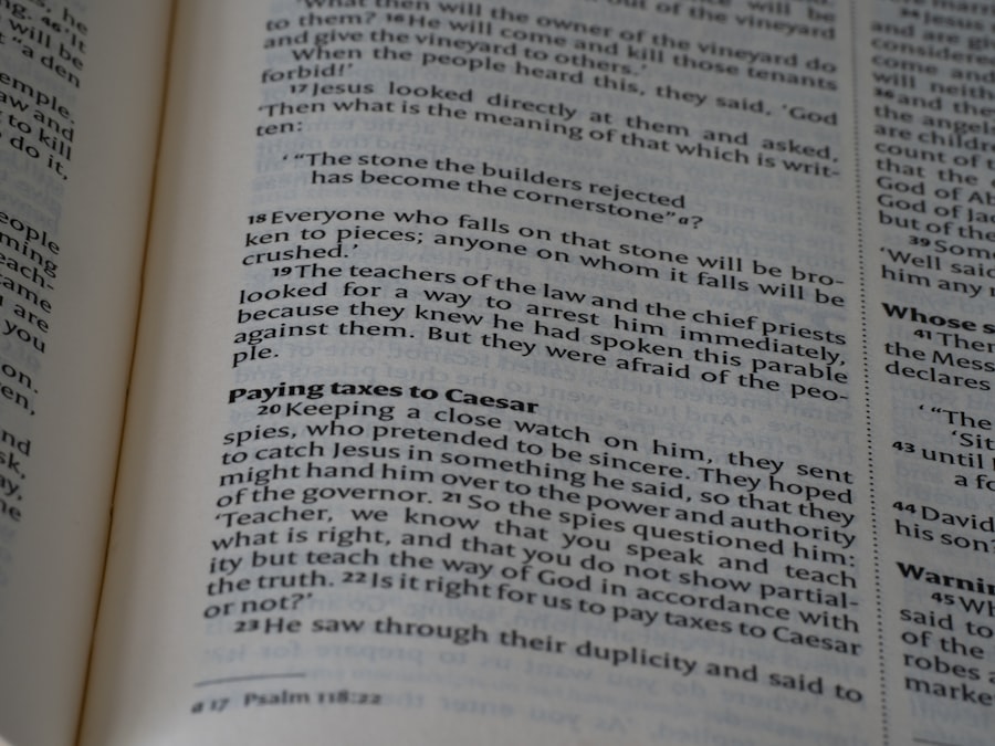 drake passage meaning