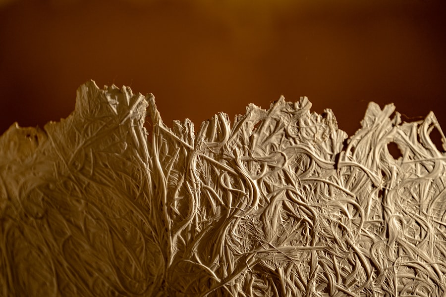 drake passage wind map