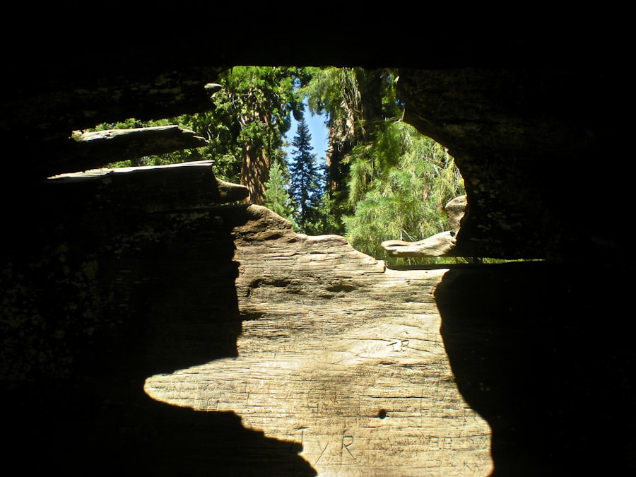 drake passage formed