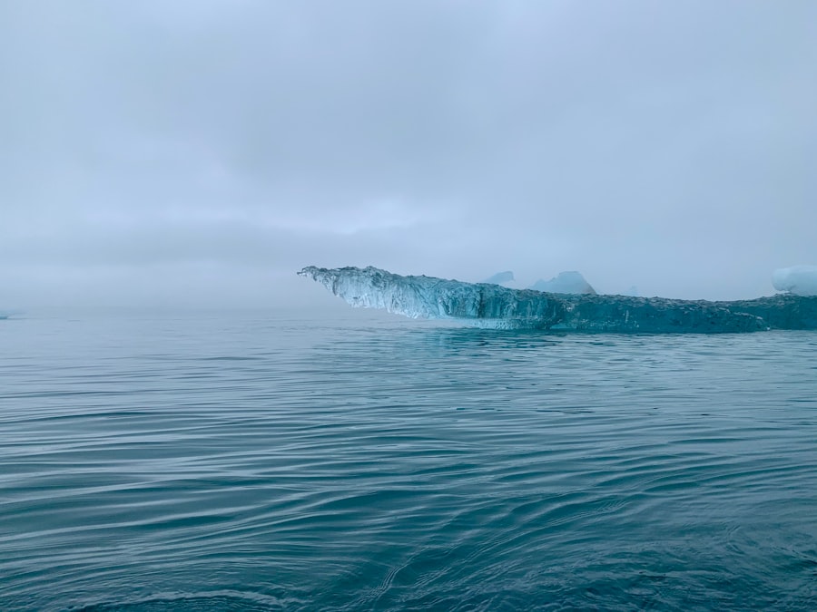 drake passage video tiktok