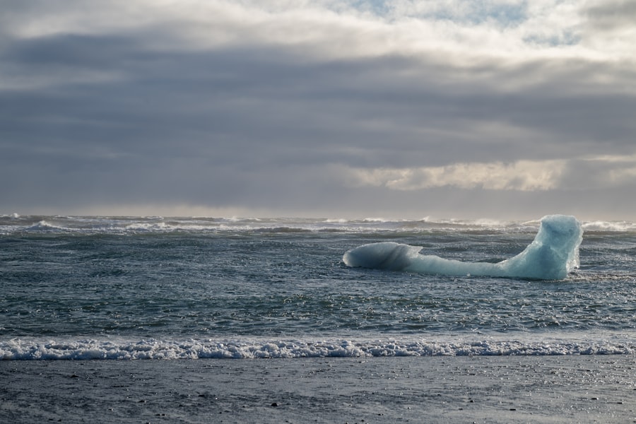 drake passage sea state forecast