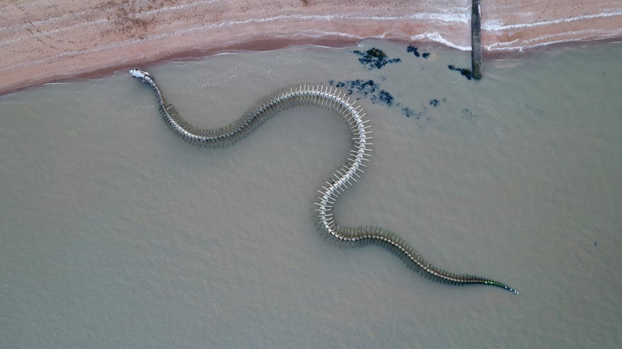sea snake