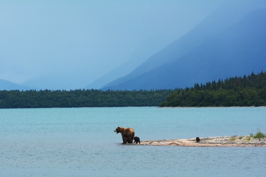 alaska cruise