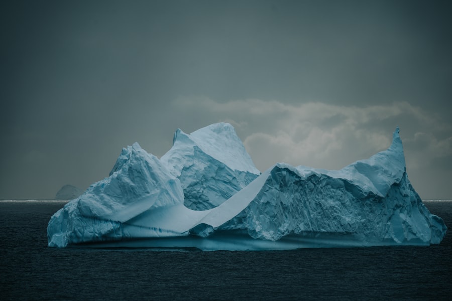 antarctica cruise