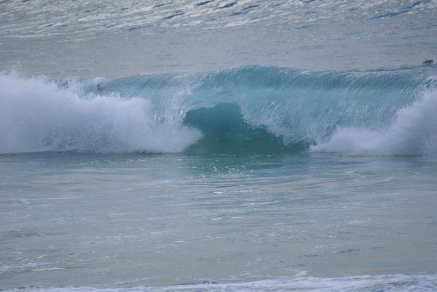 swells