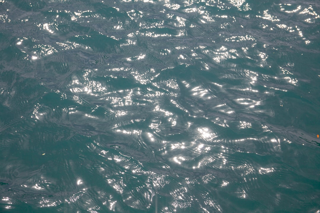 Photo drakes passage swimmable